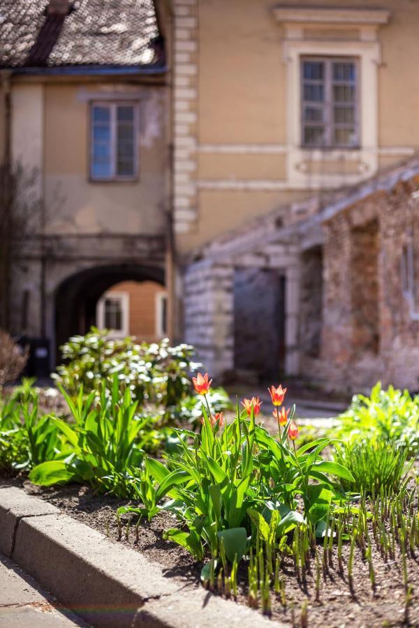 #Stayhere - Historic Vilnius Old Town Chic Studio Exterior foto